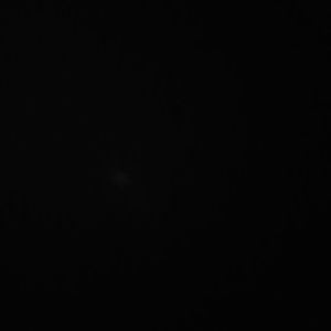 Meet your Posher, Roy